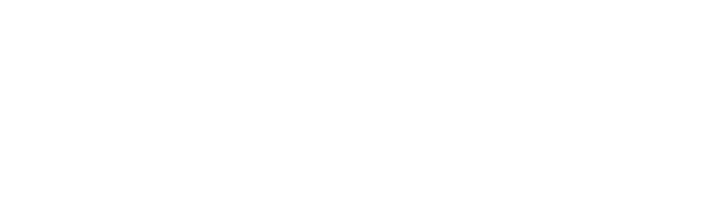 School Security Specialists